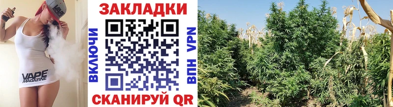 Где купить наркотики Хвалынск МАРИХУАНА  СОЛЬ  ГАШ 