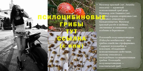 МДМА Армянск