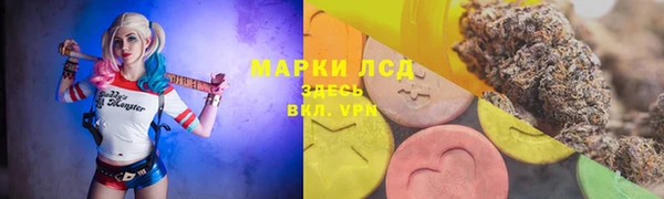 гашик Аркадак