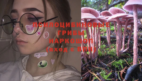 гашик Аркадак