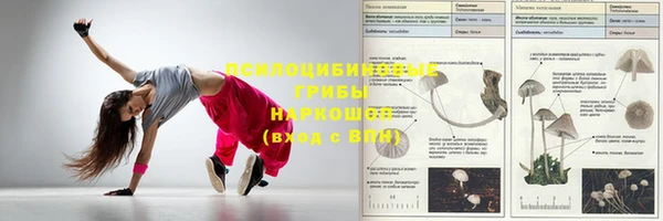 гашик Аркадак