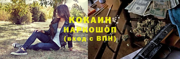гашик Аркадак
