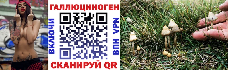 Галлюциногенные грибы Cubensis  что такое   Хвалынск 